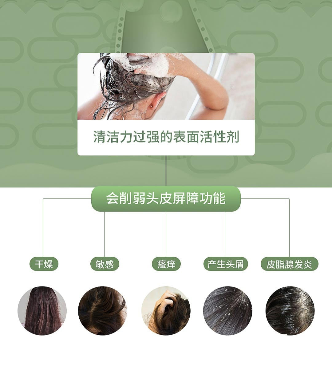Argy Wormwood Shampoo
