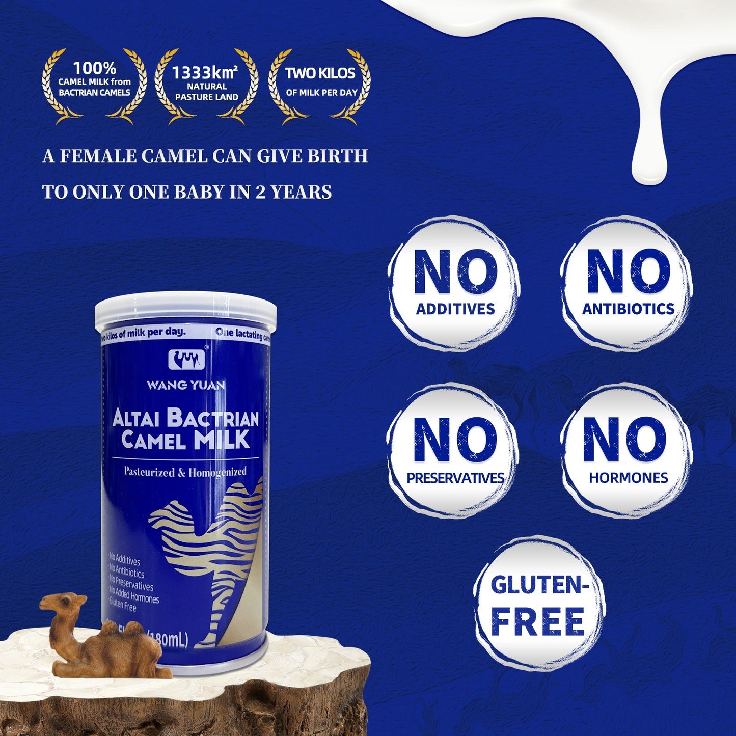 WANG YUAN Altai Bactrian Camel Milk - Ready to Drink